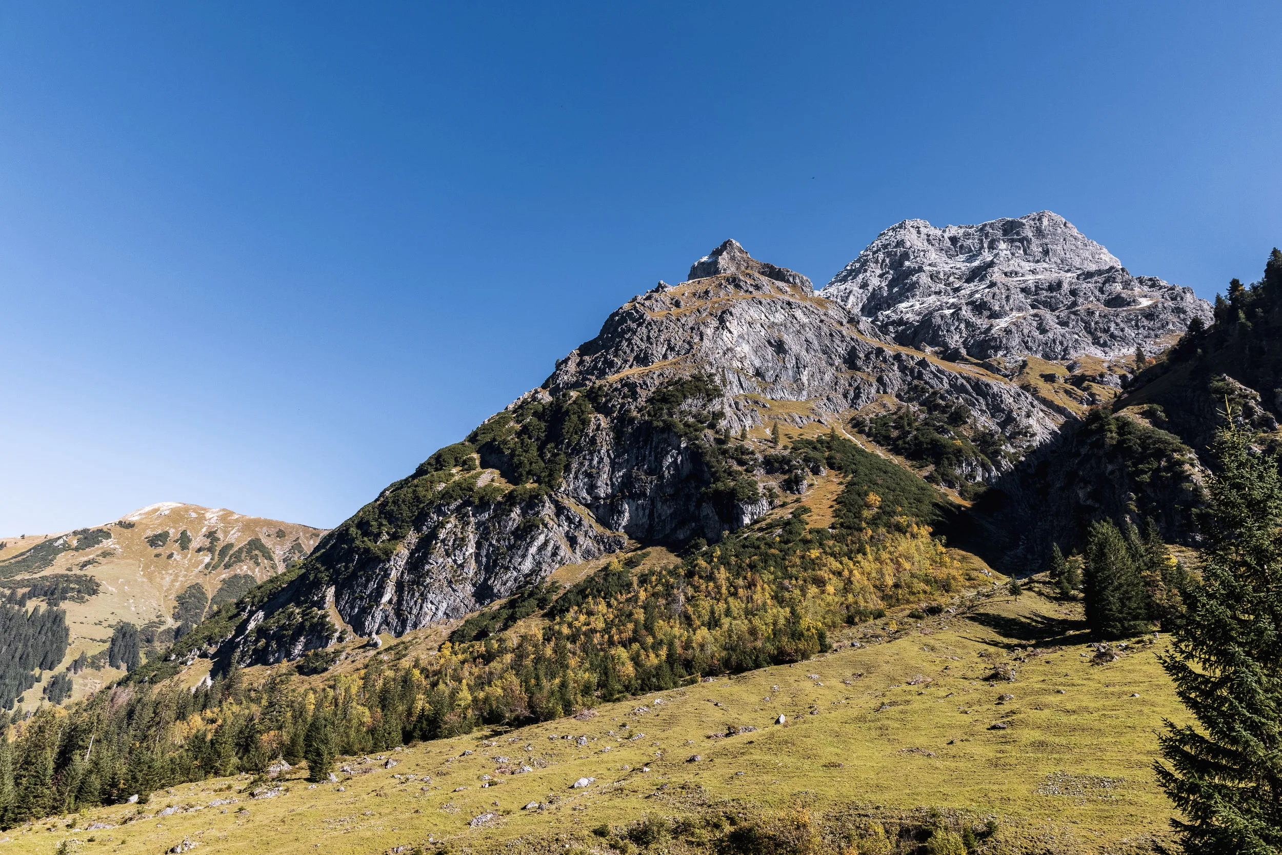 Felsige Berggipfel über herbstlichen Wiesen und Wald im Kleinwalsertal