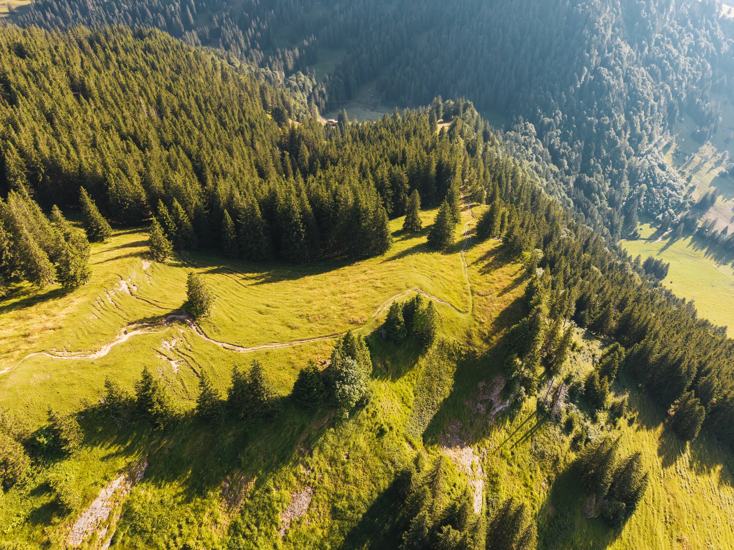 Sonnenlicht fällt über Bergwiesen und Waldhänge am Gschwenderberg