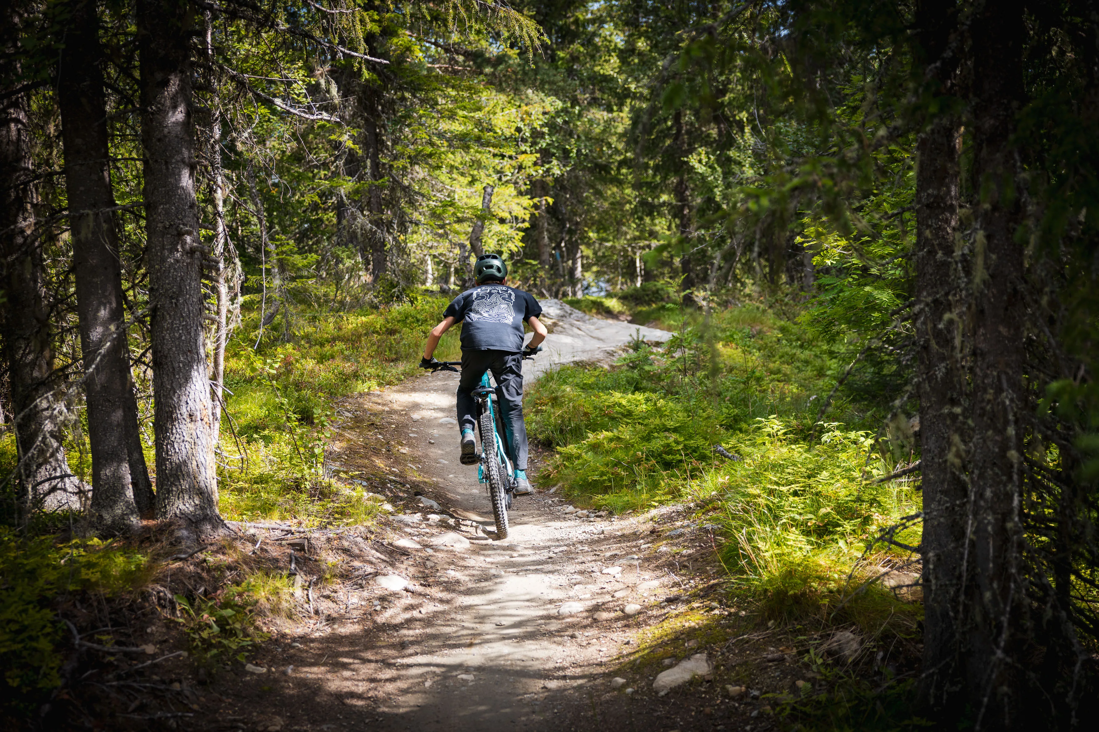Mountainbiker fährt auf einem hellen Trail durch dichten norwegischen Bergwald
