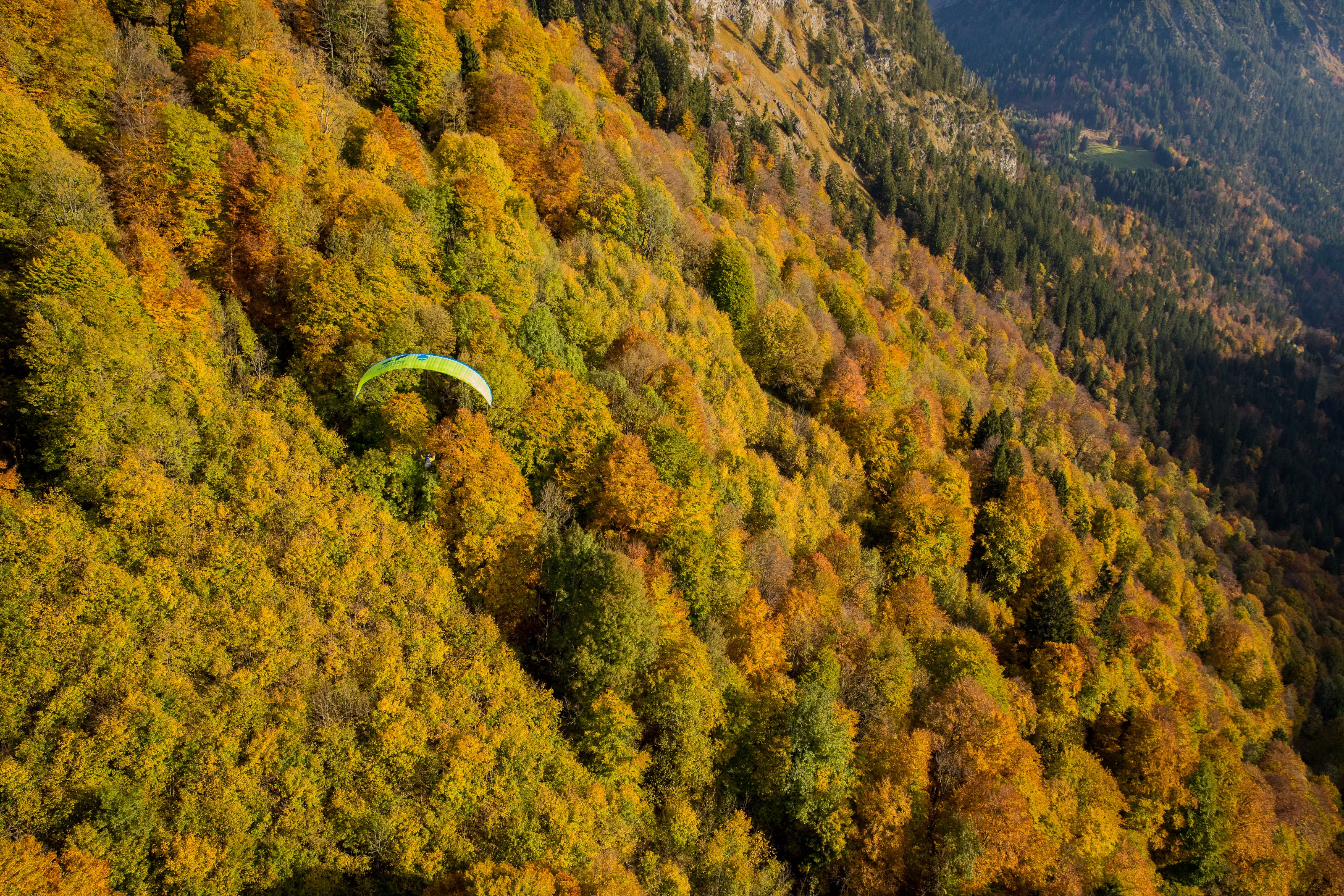 Michael Gebert als kleiner Gleitschirmpilot über einem weitläufigen Hang mit herbstlich gefärbtem Wald
