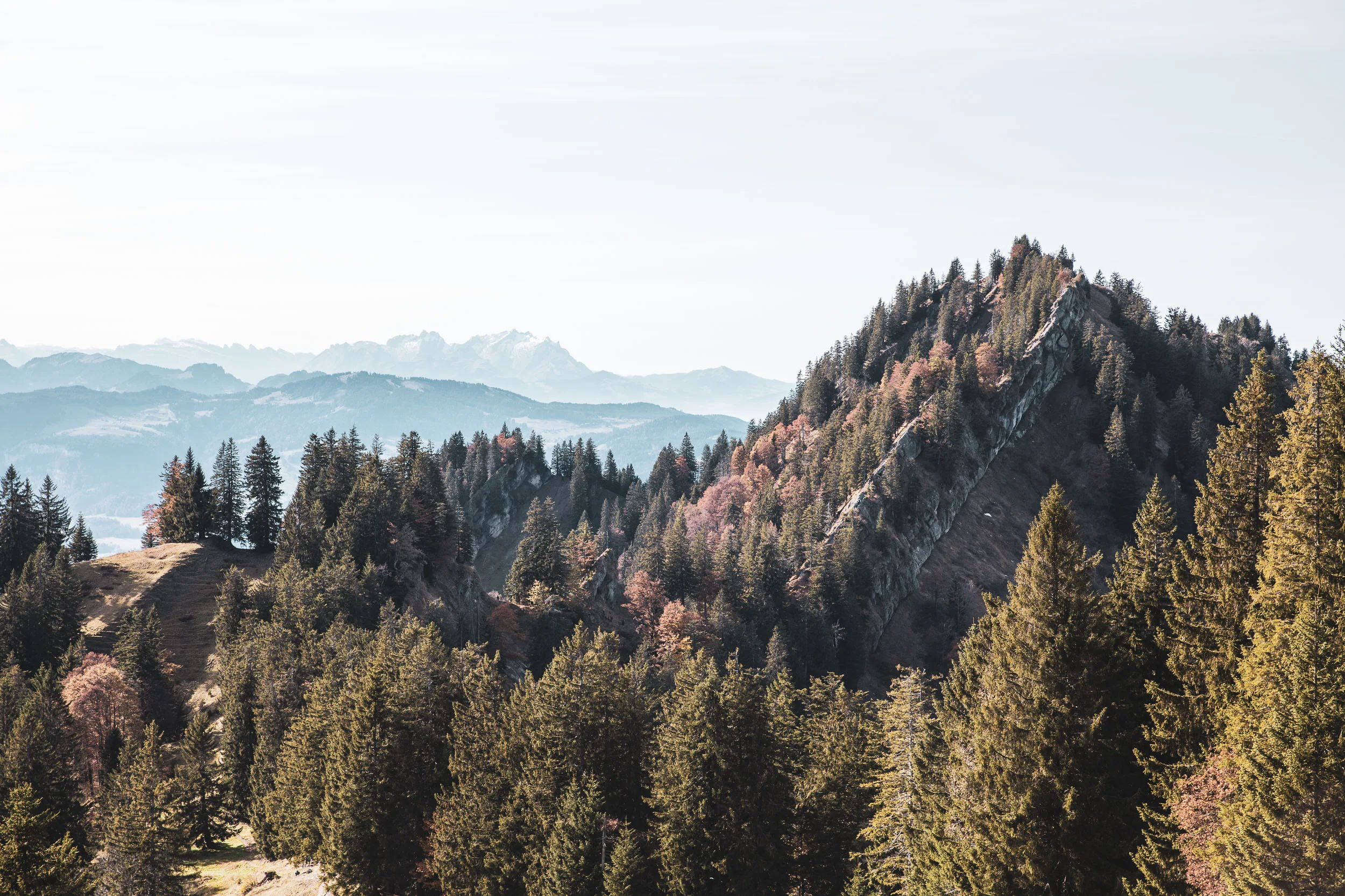 Die bewaldete Gipfelkuppe der Nagelfluhkette hebt sich vor gestaffelten Bergketten ab.