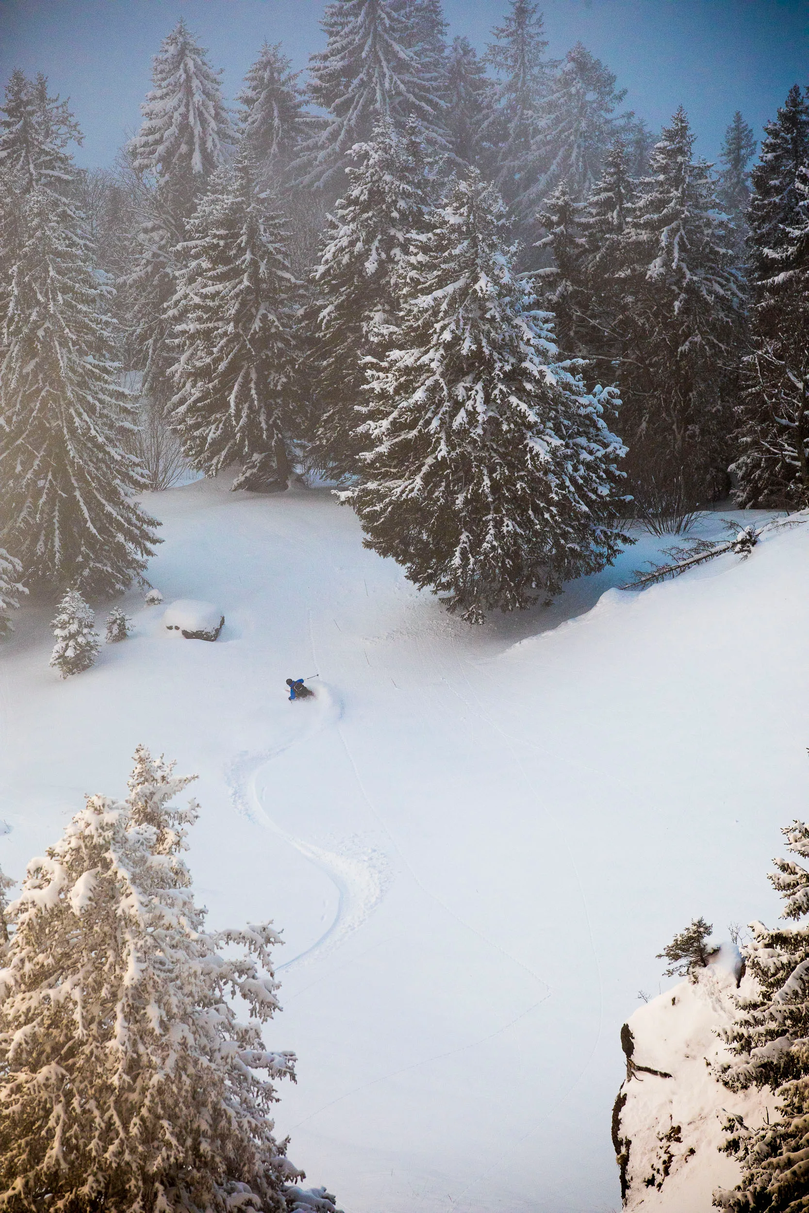 Skifahrer zieht eine Spur durch tief verschneite Bäume am Hochgrat.