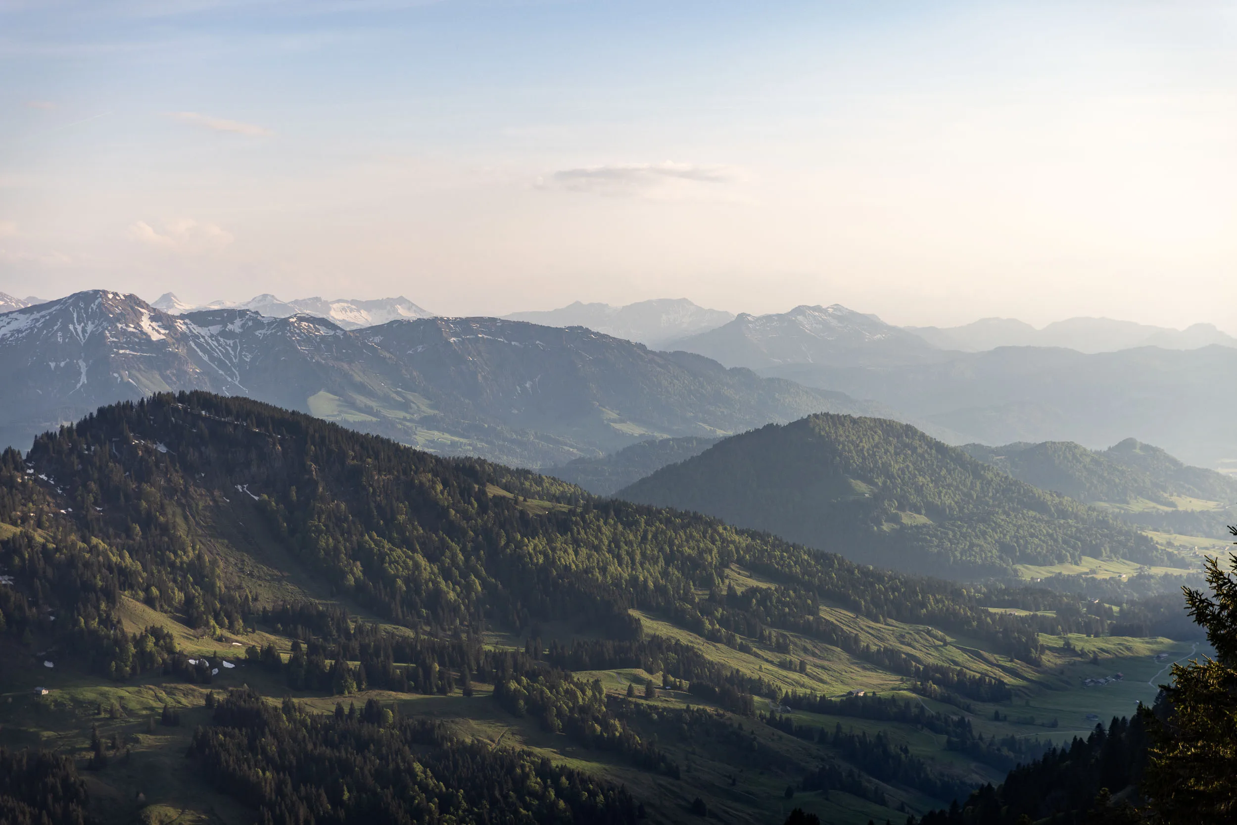 Blick vom Hochgrat über das Allgäu und die Nagelfluhkette in sommerlichem Licht.