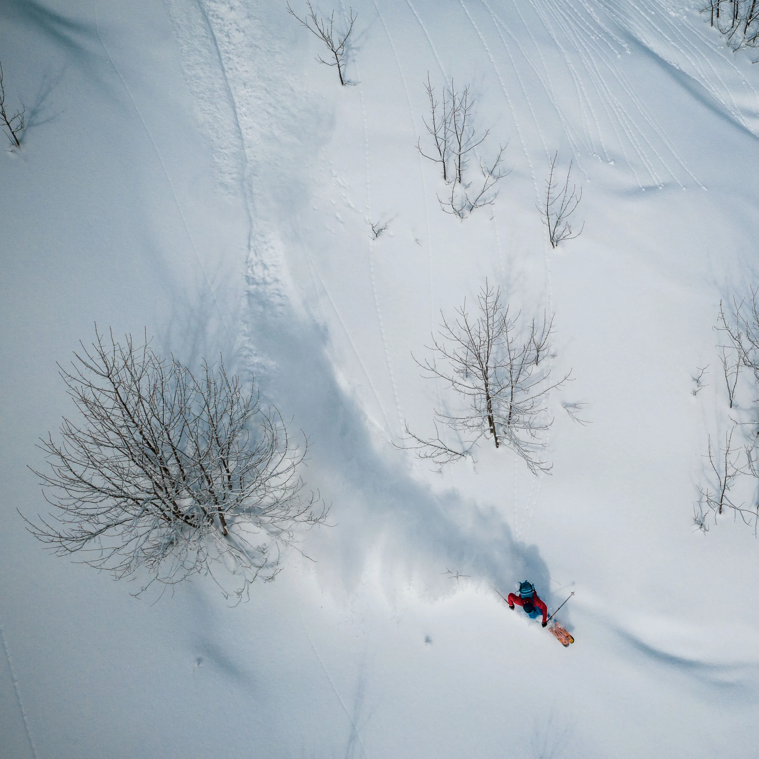Skifahrer zieht eine Spur durch tiefen Schnee in einer lichten Waldpassage.