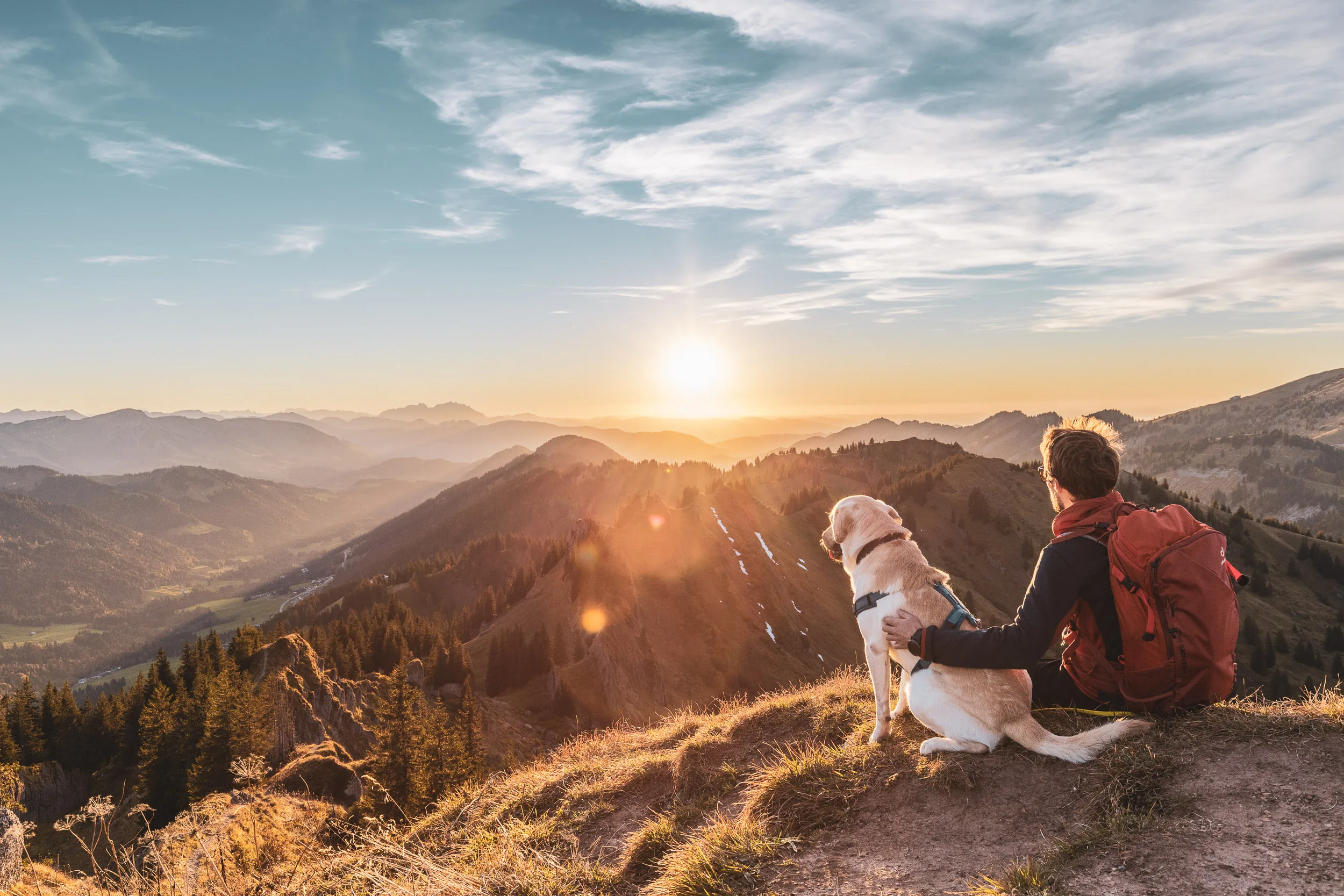 Wanderer und Hund sitzen nebeneinander über den sonnenbeschienenen Bergketten des Allgäus