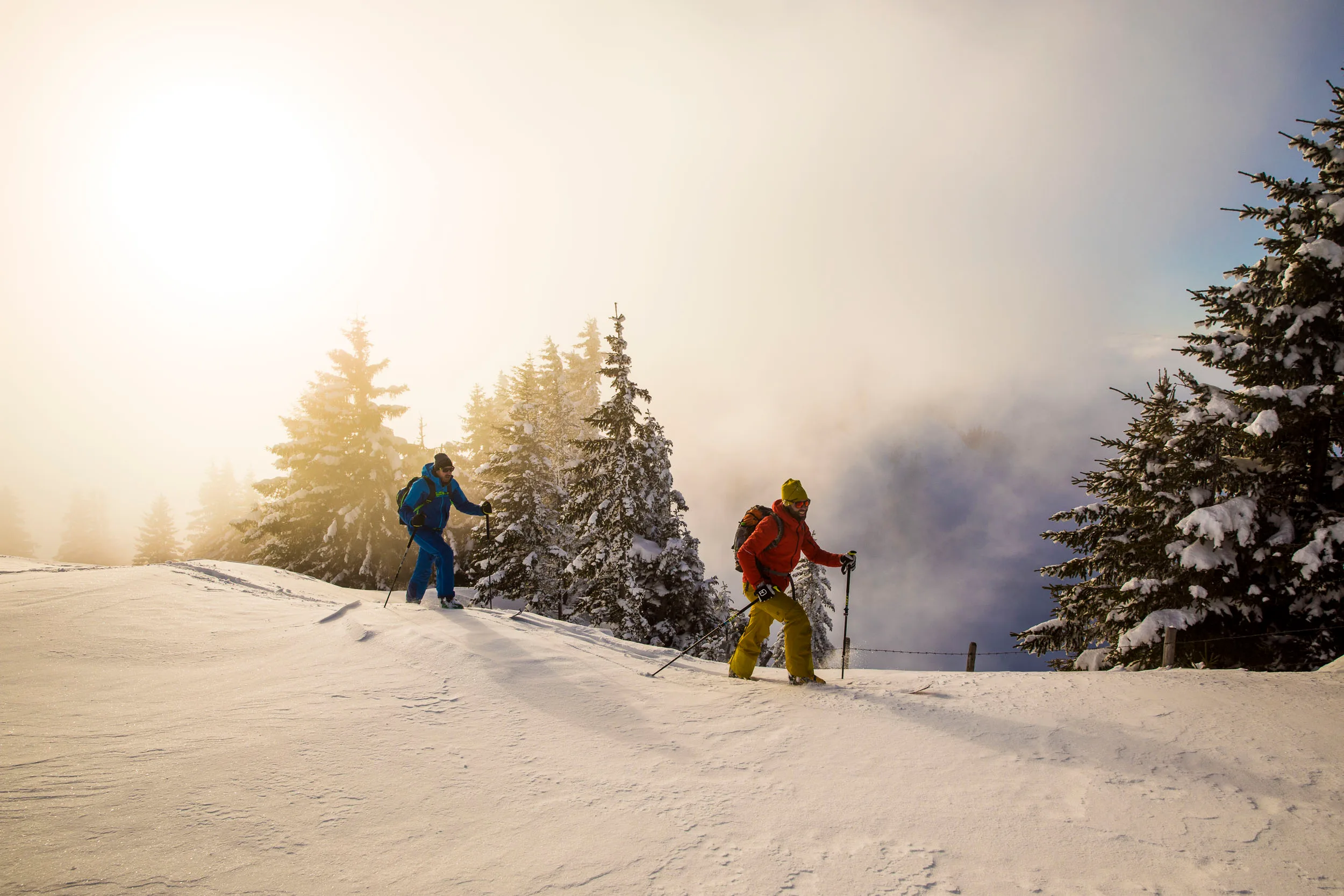 Zwei Skifahrer fahren über einen weichen Hang im warmen Gegenlicht.