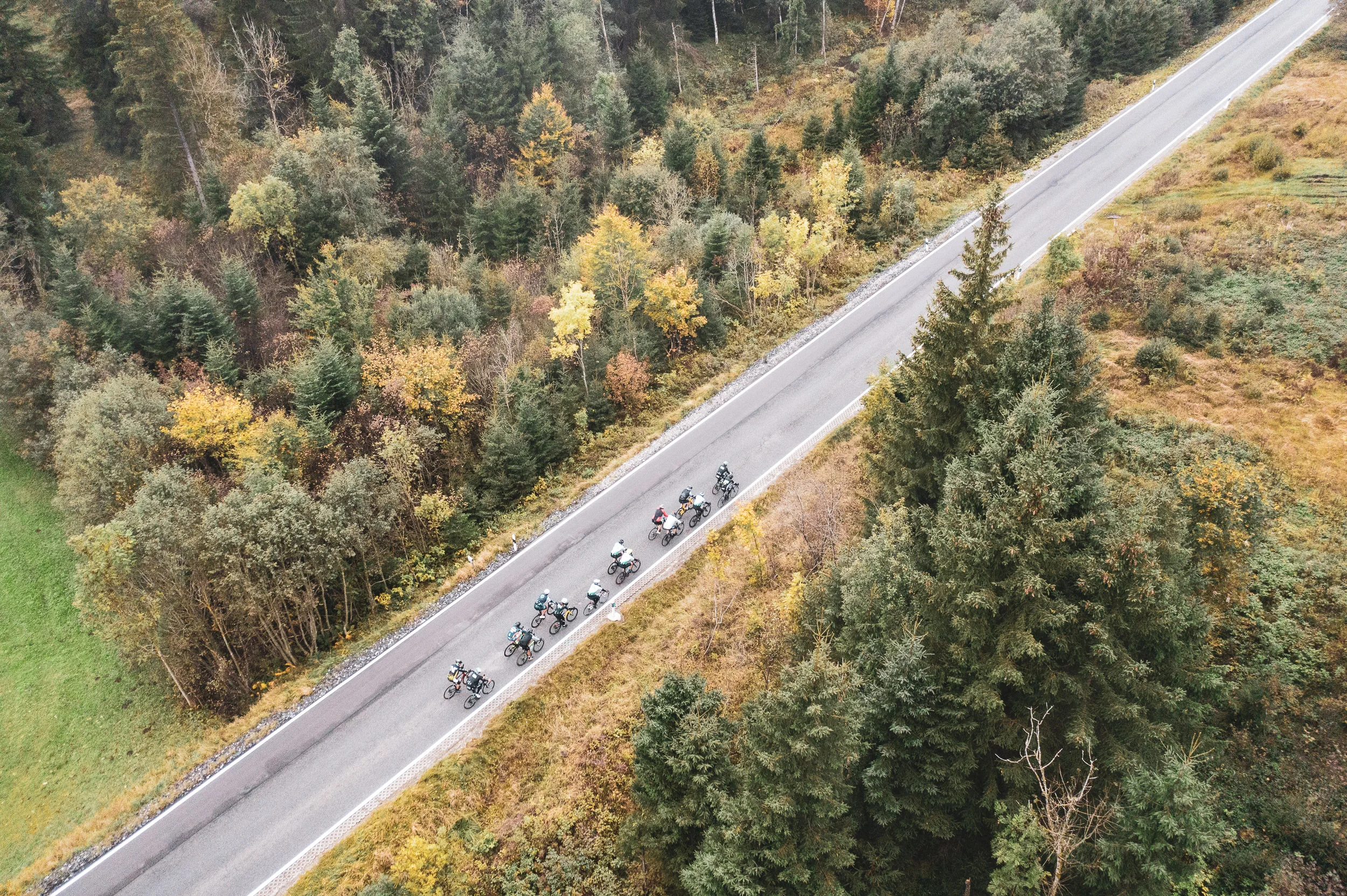 Eine Rennradgruppe fährt auf einer kurvigen Passstraße durch den herbstlichen Wald am Oberjoch.
