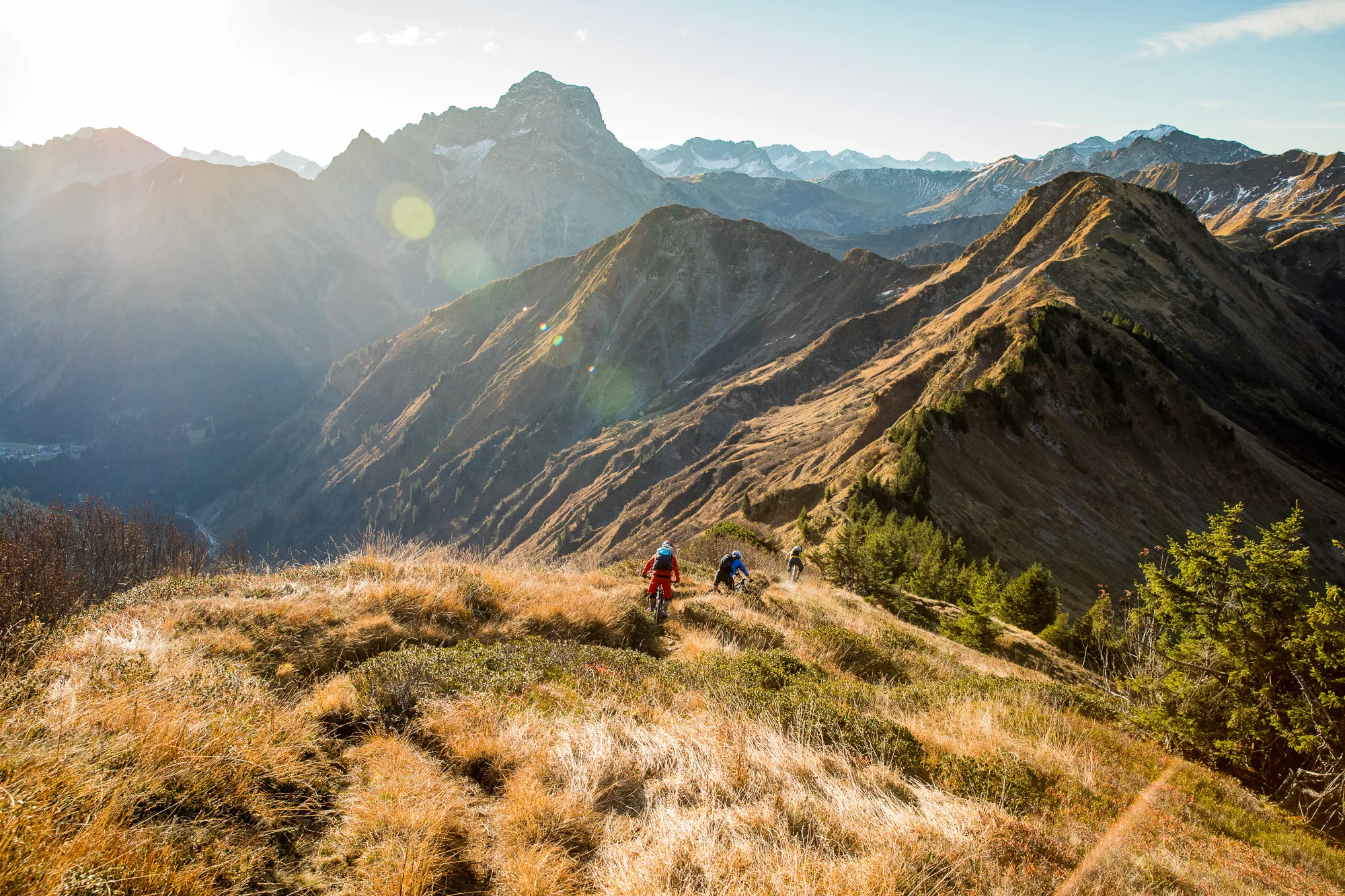 Mountainbiker folgen einem Pfad über eine trockene Bergwiese vor dem Alpenpanorama