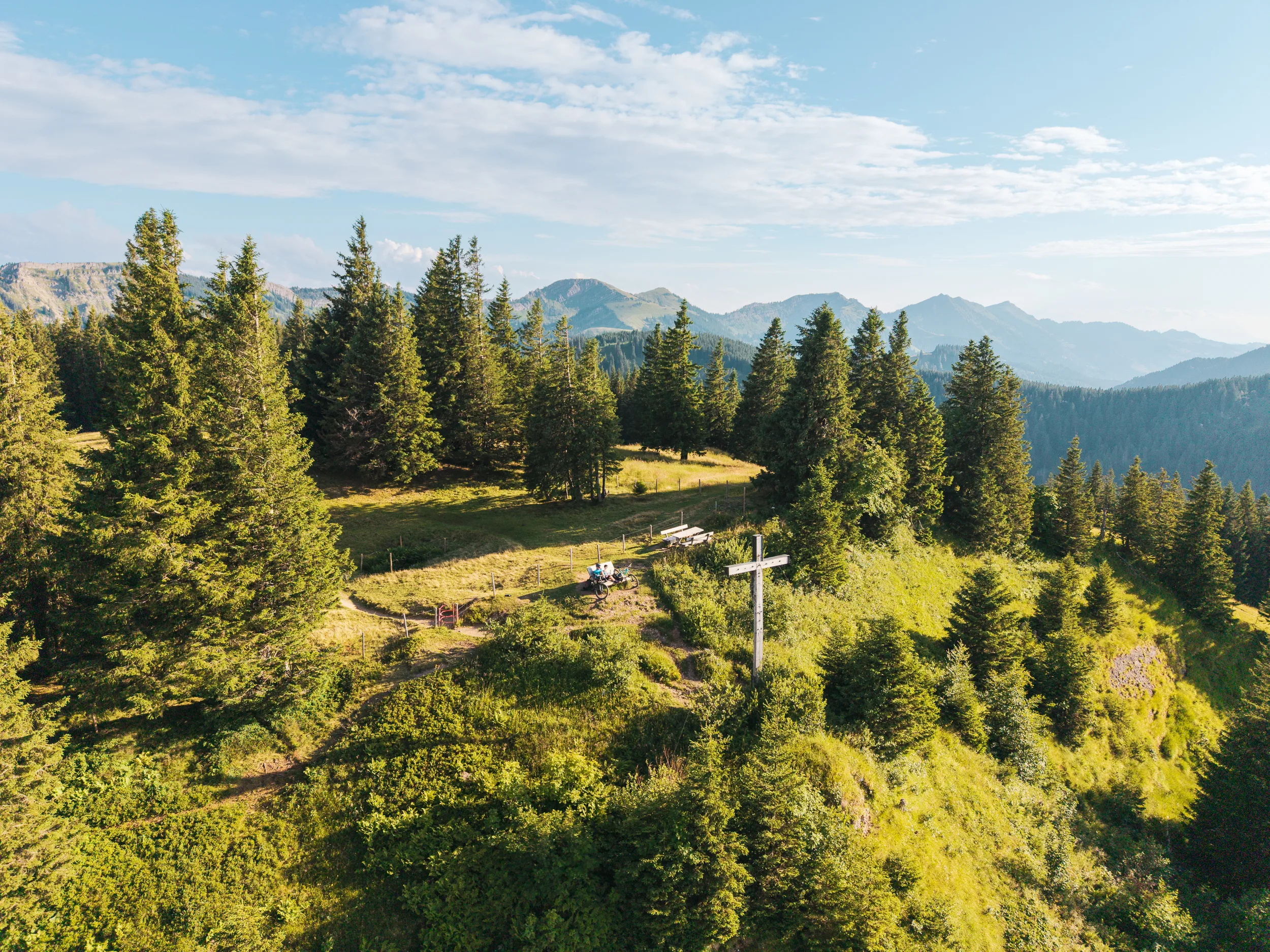 Bergwiese und Nadelwald am Gschwenderberg im späten Nachmittagslicht