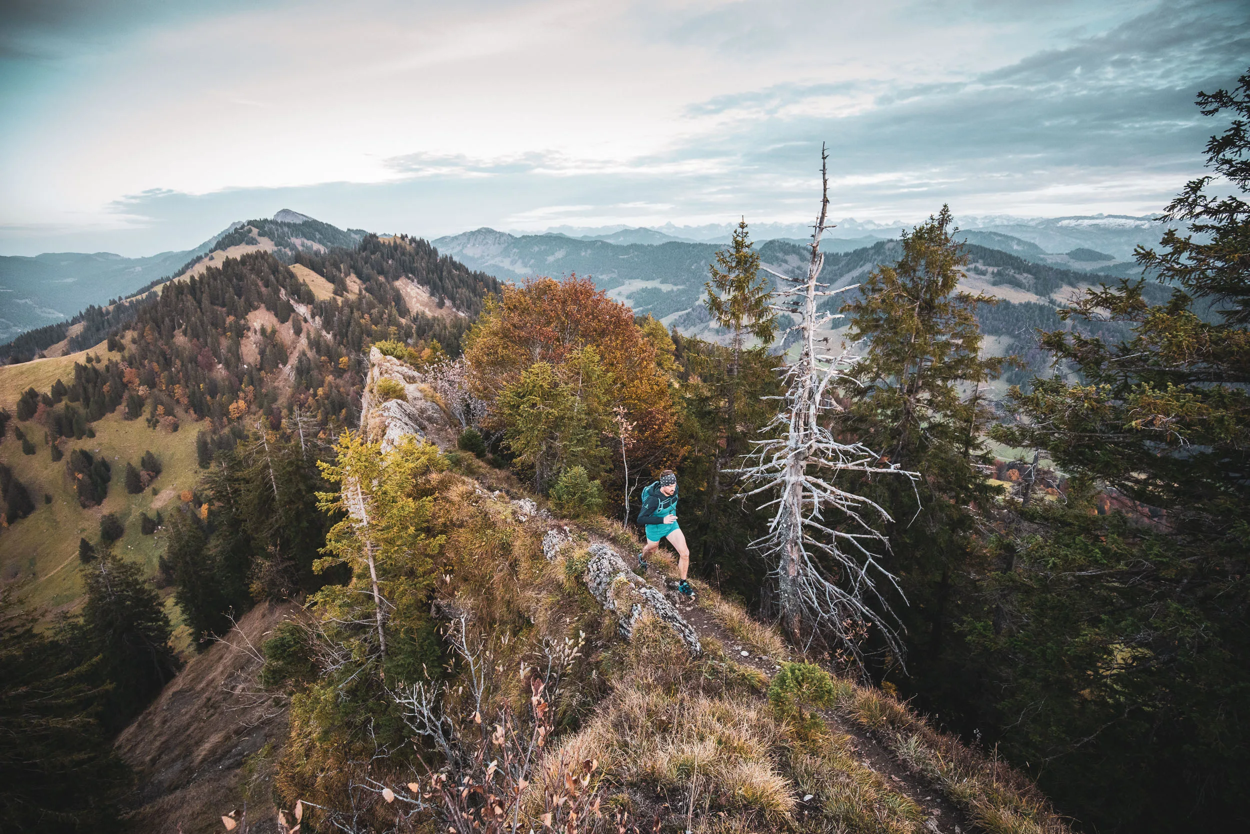 Ein Trailrunner folgt einem schmalen Grat durch gelbe Buchen und dunkle Fichten.
