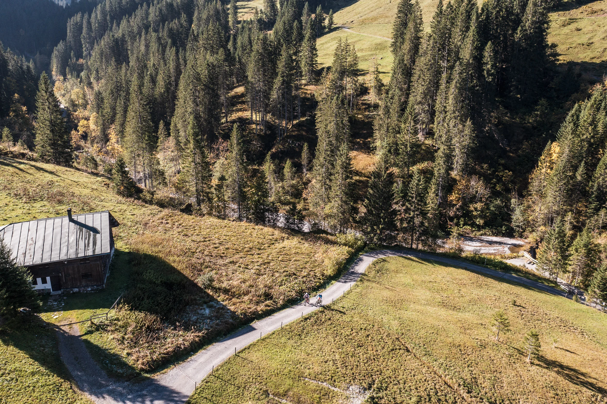 Luftaufnahme von Almen und einem Fahrweg im herbstlichen Kleinwalsertal