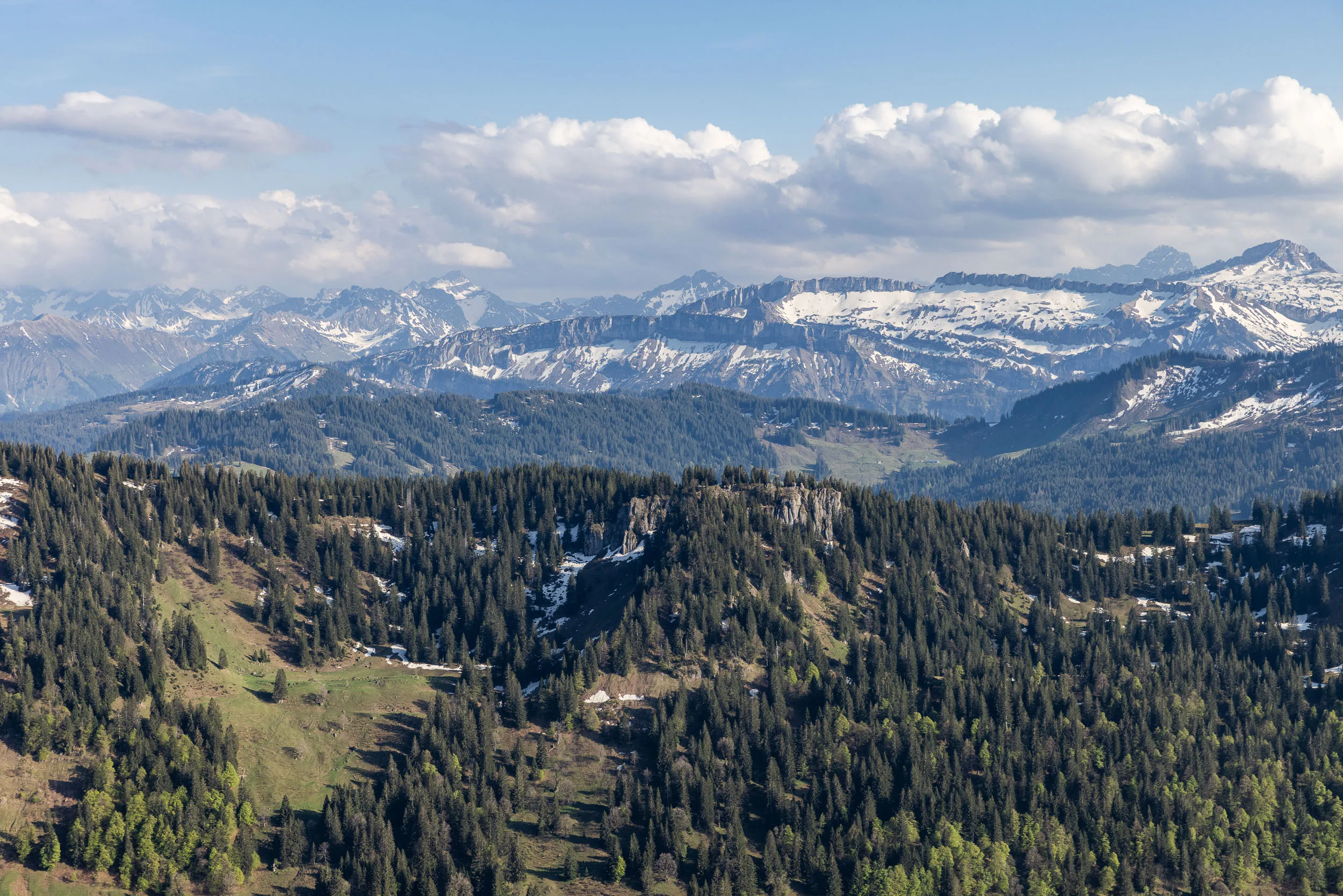 Blick vom Hochgrat über das Allgäu und die Nagelfluhkette in sommerlichem Licht.