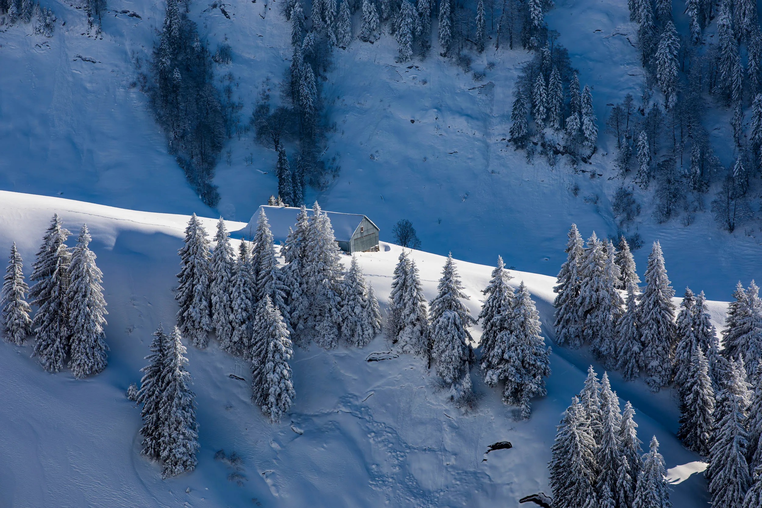 Eine schneebedeckte Berghütte steht auf einer hellen Hangkante zwischen verschneiten Fichten.