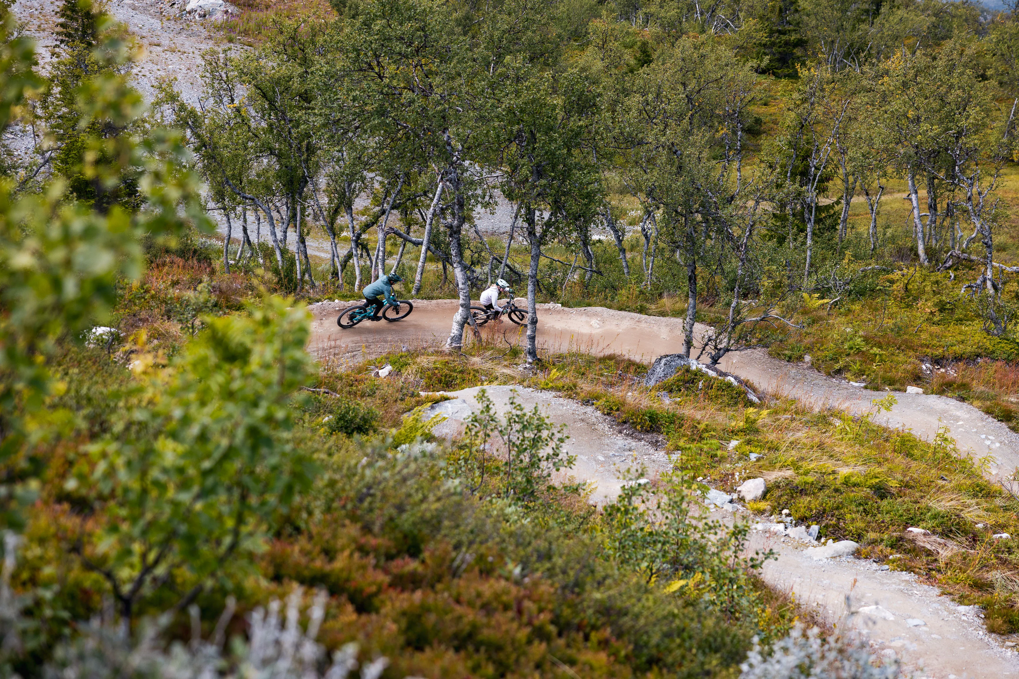 Zwei Mountainbiker durchfahren hintereinander eine breite Kehre zwischen Birken