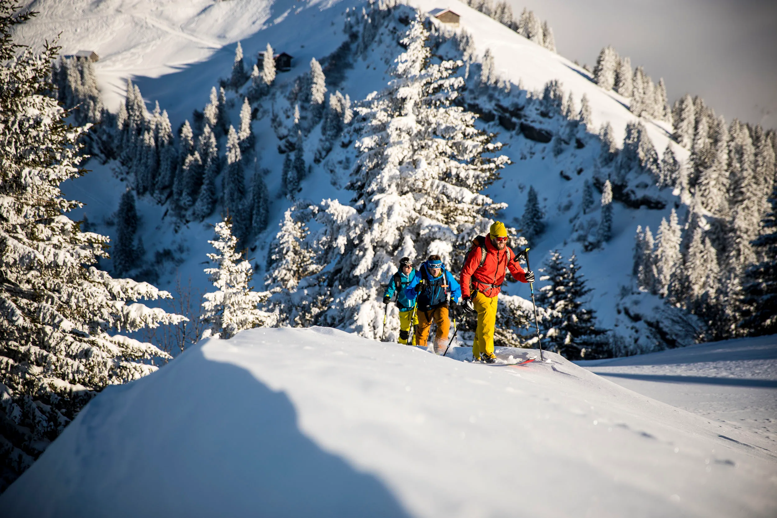 Drei Skitourengeher gehen hintereinander über eine verschneite Kuppe.