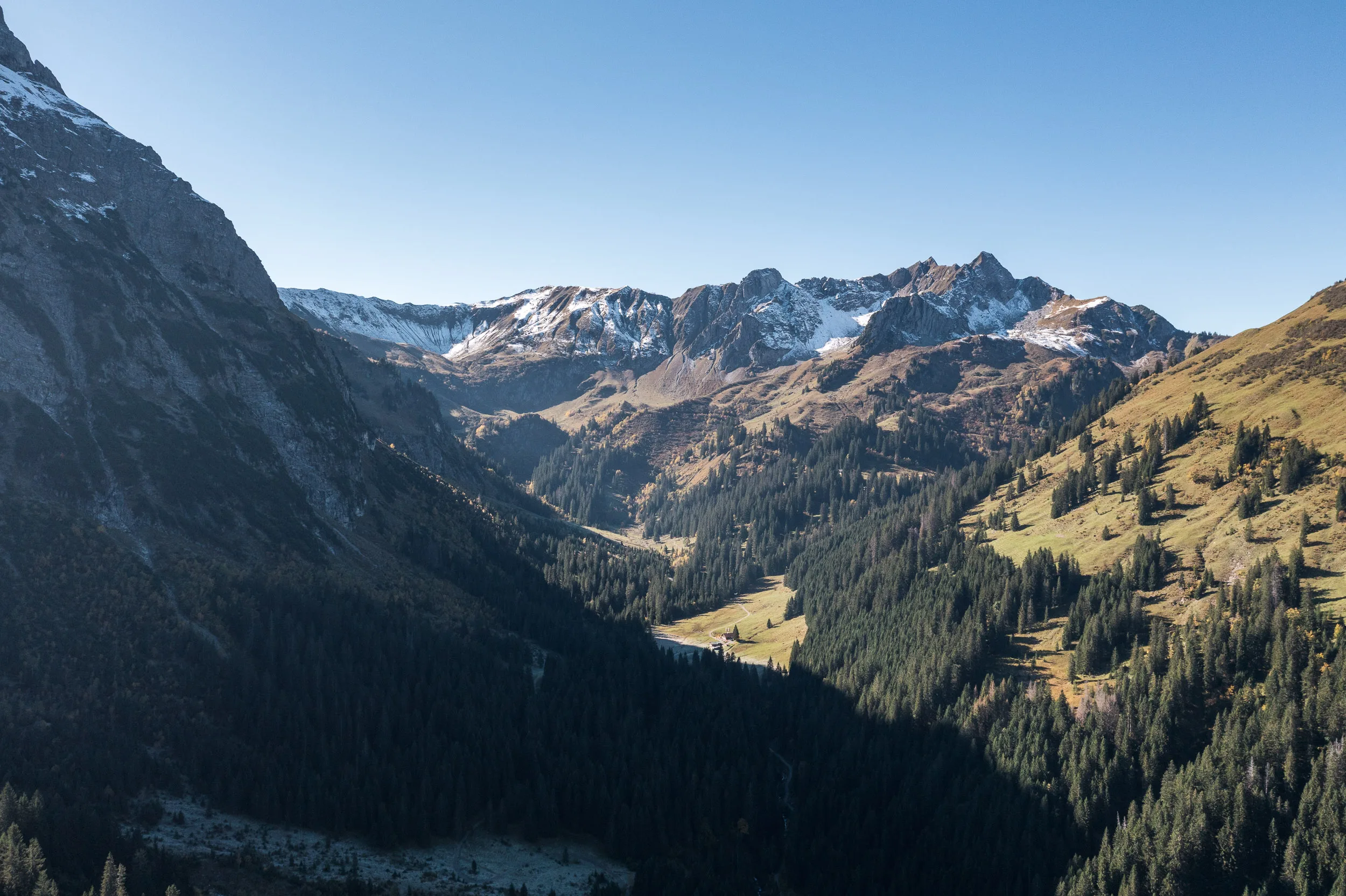Blick über ein bewaldetes Bergtal mit herbstlichen Almen im Kleinwalsertal
