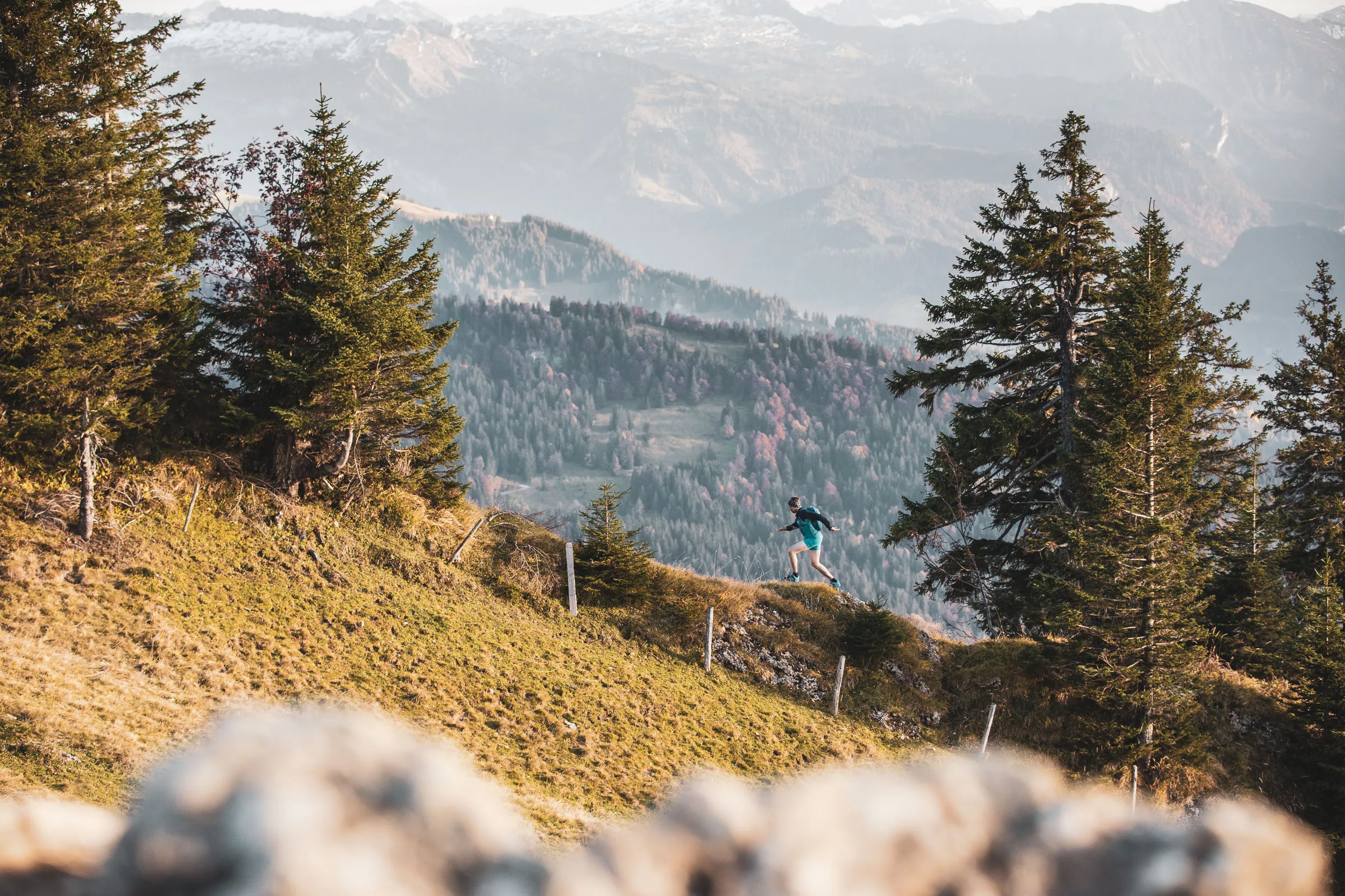 Ein Trailrunner läuft auf einem Wiesentrail zwischen Fichten vor dem weiten Allgäuer Bergpanorama.