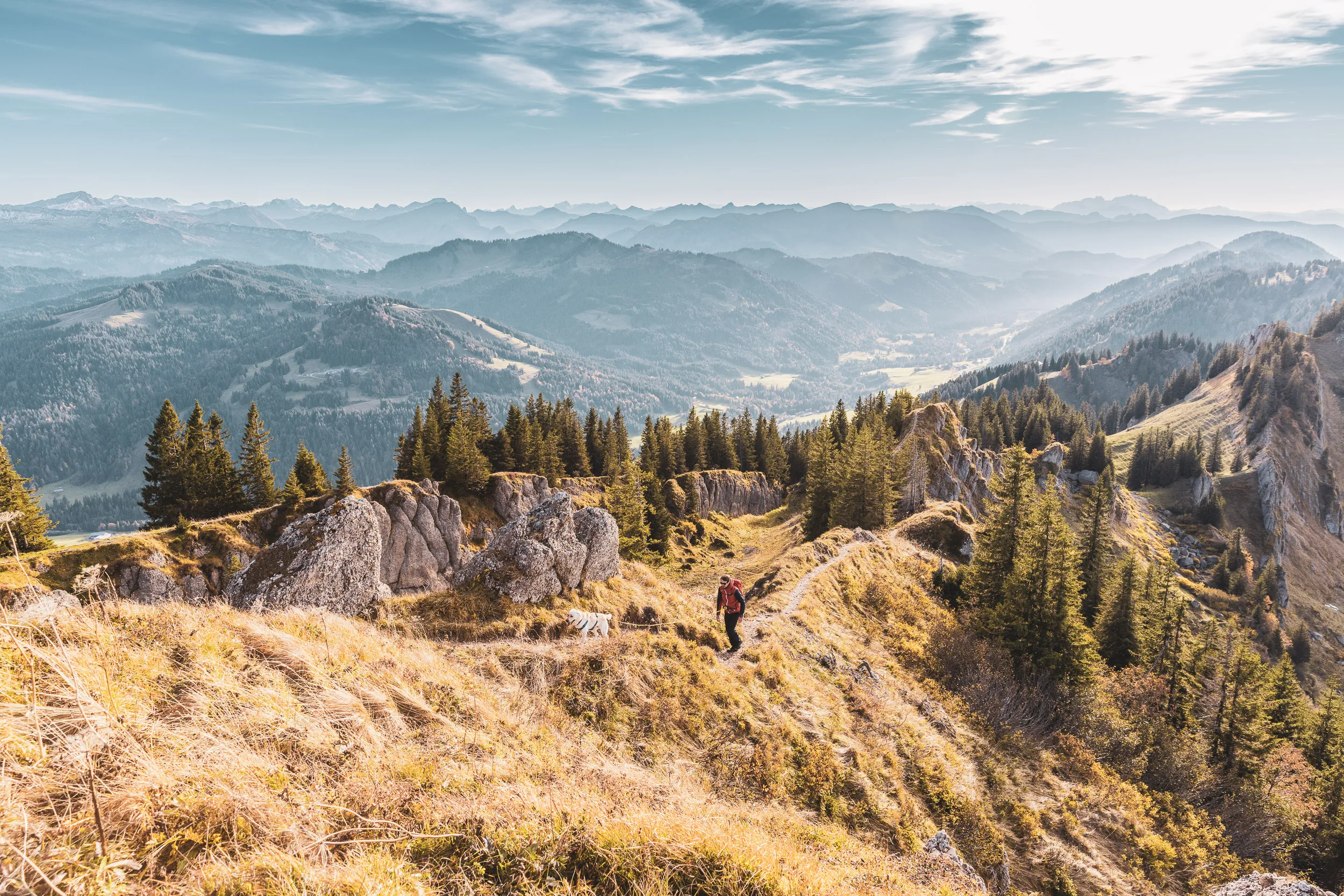 Wanderer und Hund auf einem Höhenweg zwischen Felsen, Bergwald und weitem Panorama