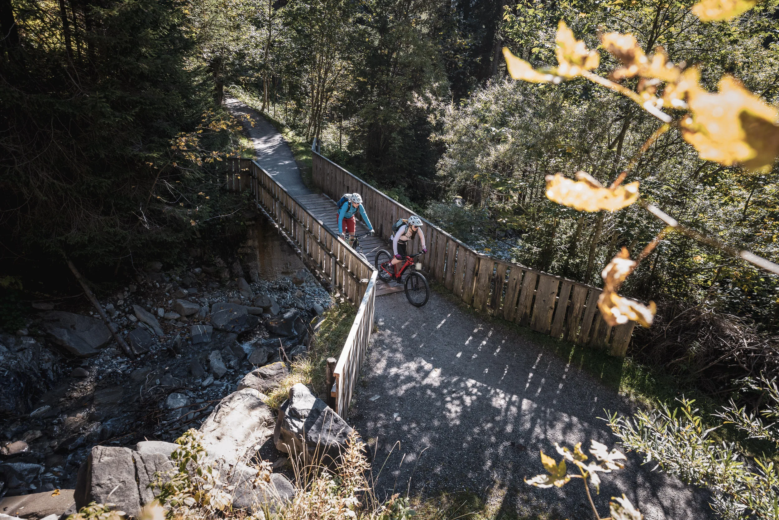 Silvi Vogel und Andrea Geiger fahren mit Mountainbikes über eine Holzbrücke im Wald