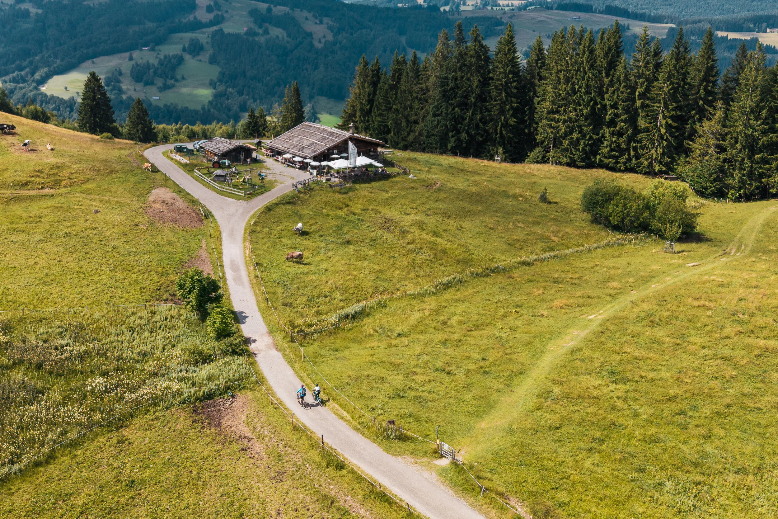 Zwei Mountainbiker auf dem Zufahrtsweg zur Alpe Gschwenderberg aus der Luft