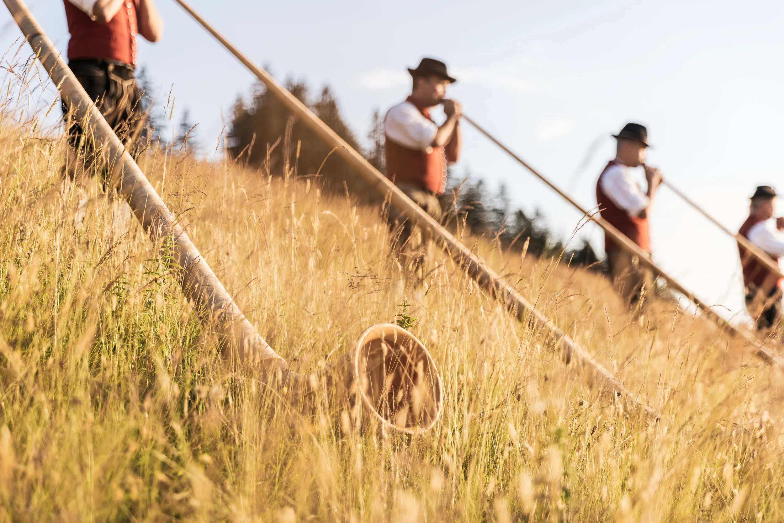 Alphorn im hohen Sommergras, dahinter Musiker auf einer Bergwiese im Allgäu.