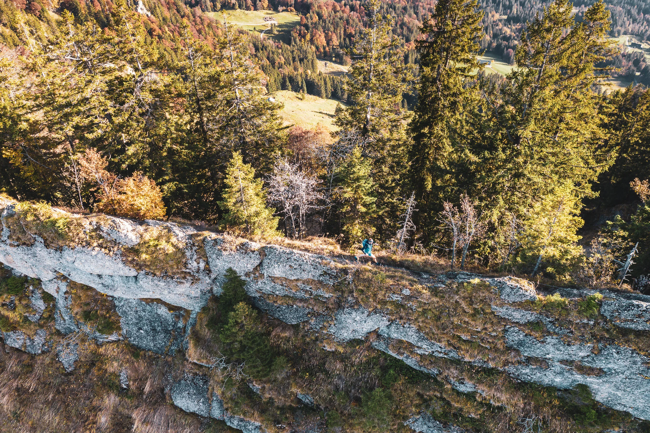 Drohnenblick auf einen Felsgrat mit einem Trailrunner zwischen herbstlichen Fichten der Nagelfluhkette.