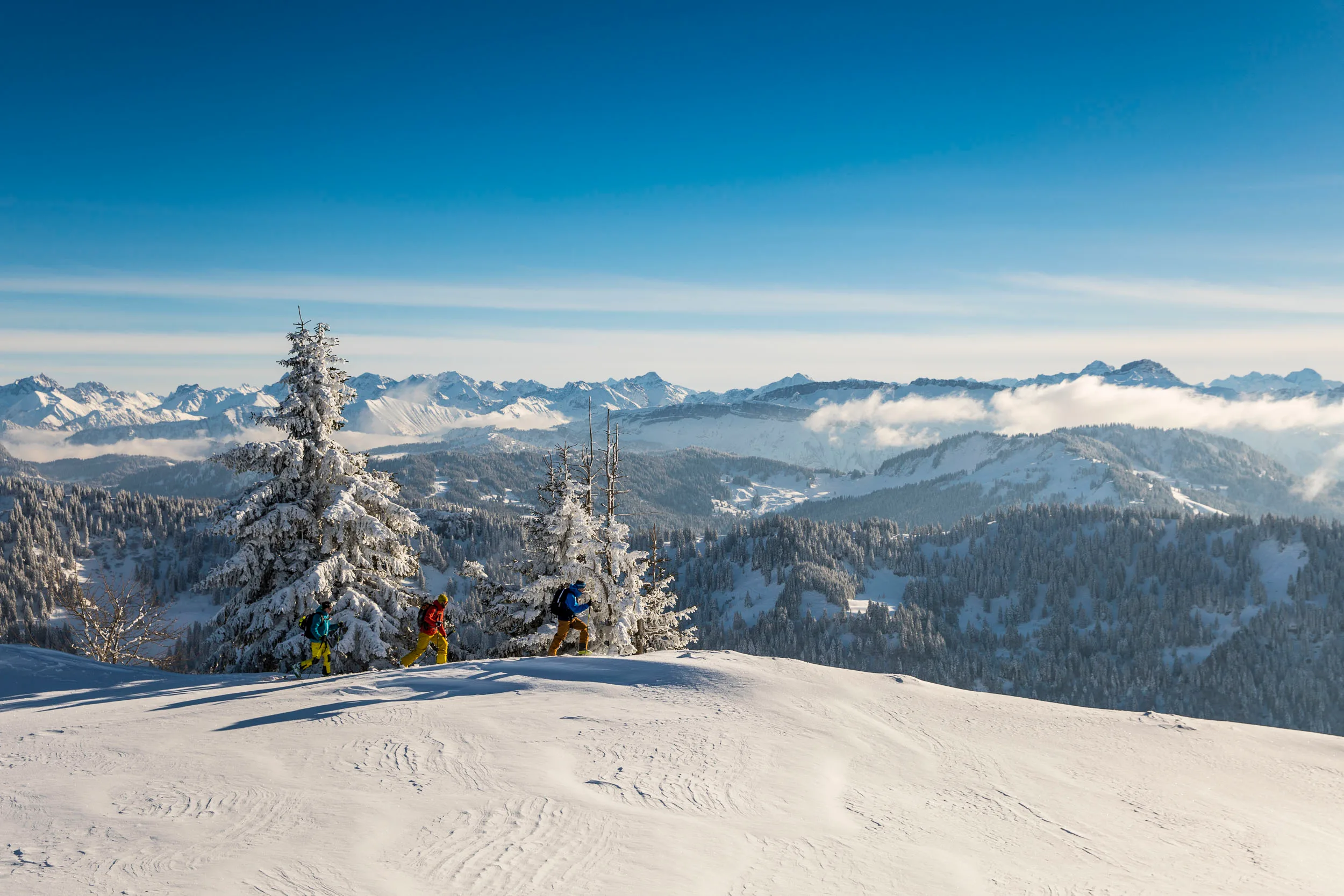 Skitourengeher steigen über einen offenen Hang mit Blick auf die Alpen auf.