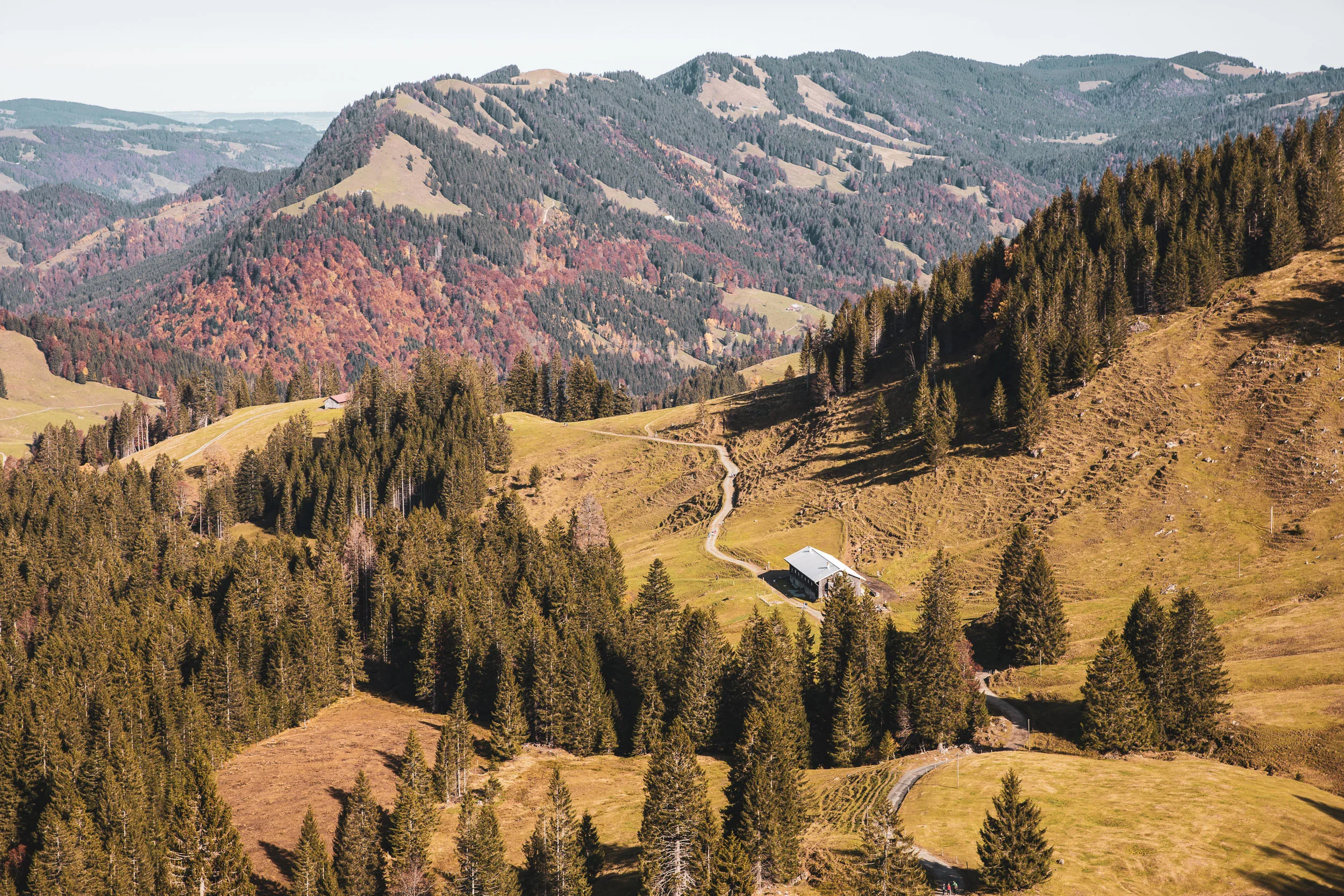 Luftaufnahme einer Almhütte zwischen Weideflächen und farbigem Herbstwald der Nagelfluhkette.
