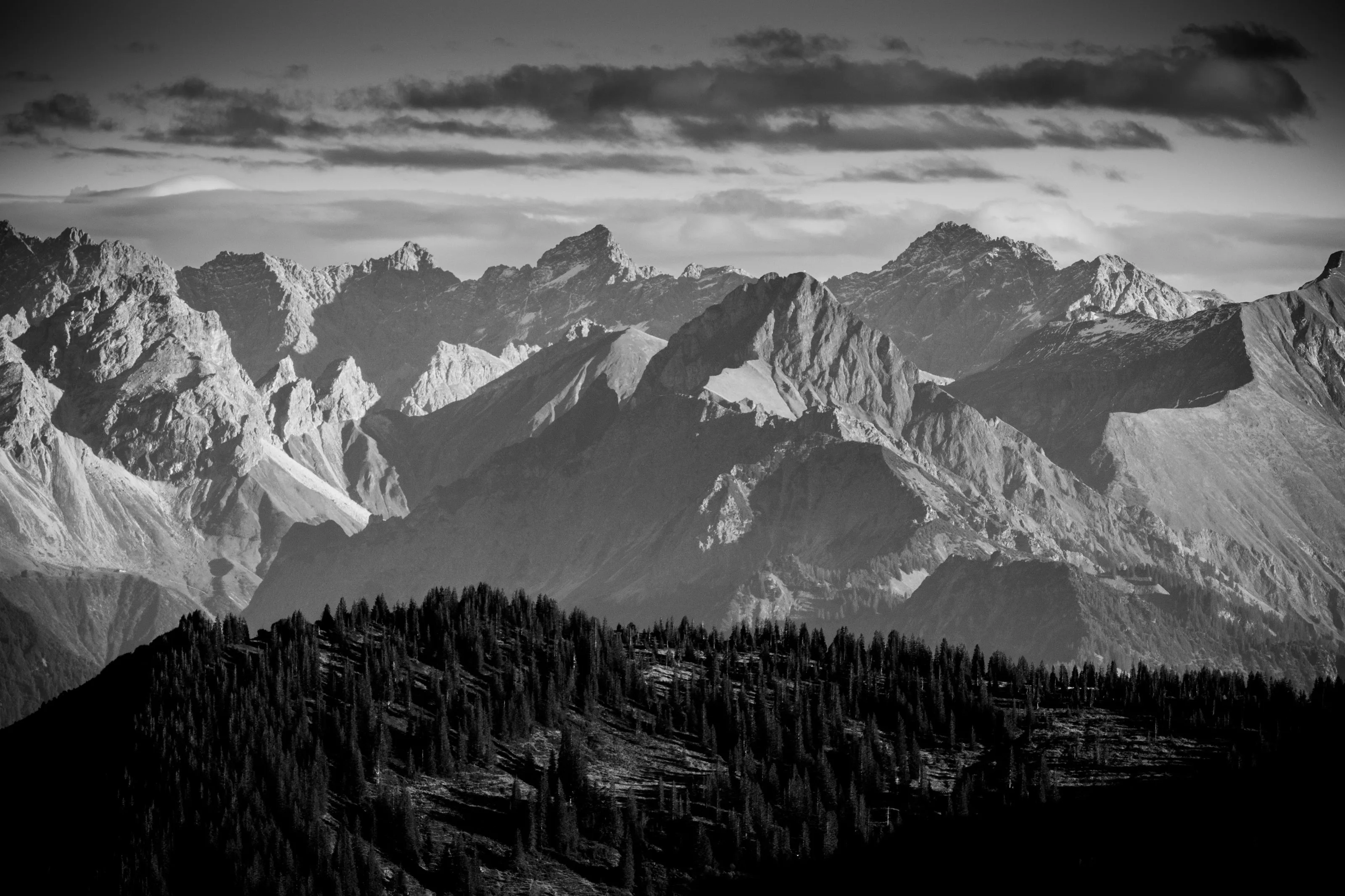 Schwarzweißes Panorama aus felsigen Bergen und dunklem Wald.